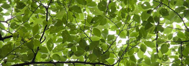 メインイメージ　推奨サイズW800×280px